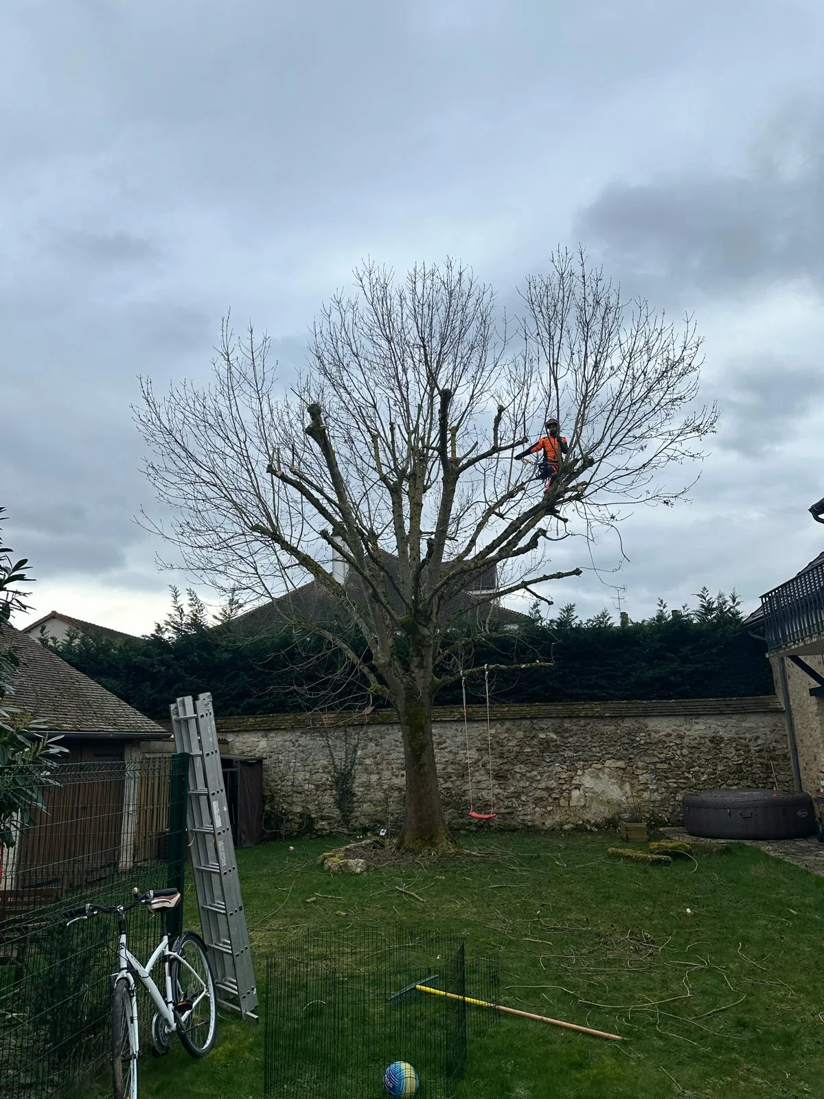 Élagueur D'Arbre En Arbre au sommet d'un arbre, harnais orange, ciel nuageux.